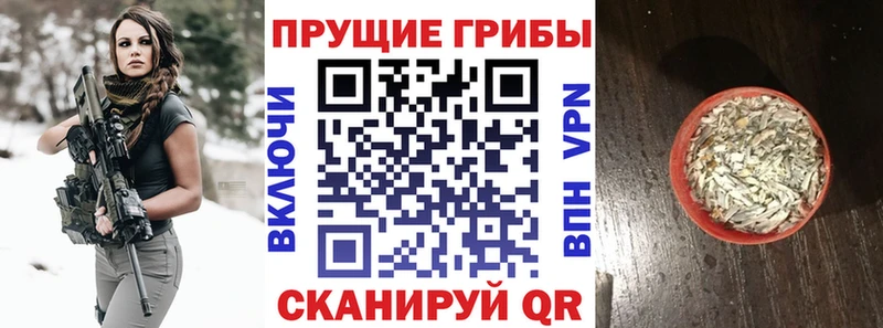 Псилоцибиновые грибы Psilocybine cubensis  что такое наркотик  Энем 
